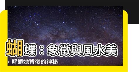 蝴蝶風水|【蝴蝶代表】揭秘蝴蝶象徵的風水與吉祥寓意，賞析精緻蝴蝶刺繡。